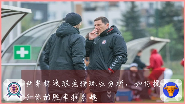 世界杯滚球竞猜玩法分析，如何提升你的胜率和乐趣
