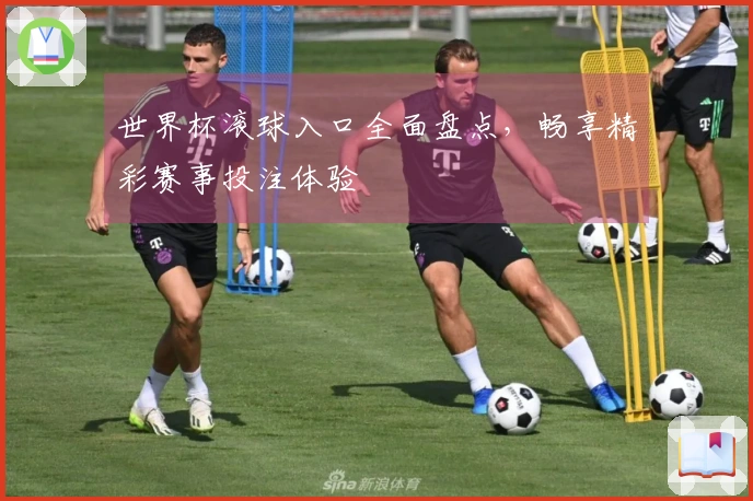 世界杯滚球入口全面盘点，畅享精彩赛事投注体验