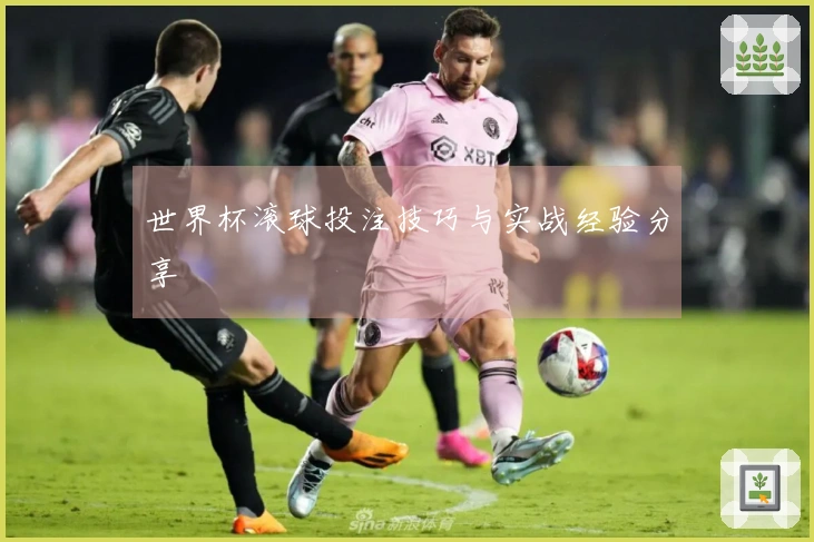 世界杯滚球投注技巧与实战经验分享