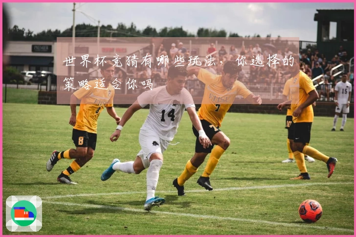 世界杯竞猜有哪些玩法，你选择的策略适合你吗