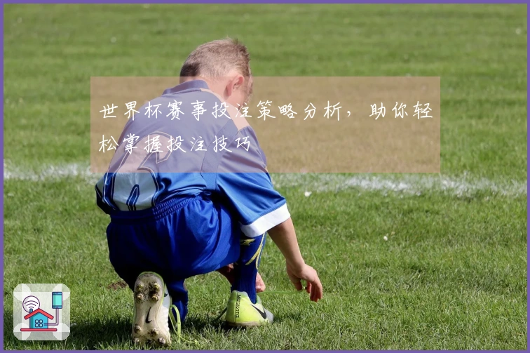 世界杯赛事投注策略分析，助你轻松掌握投注技巧