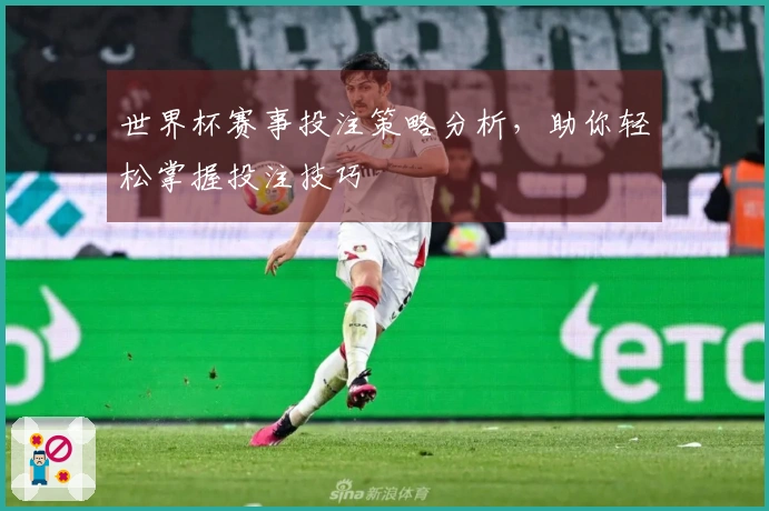 世界杯赛事投注策略分析，助你轻松掌握投注技巧