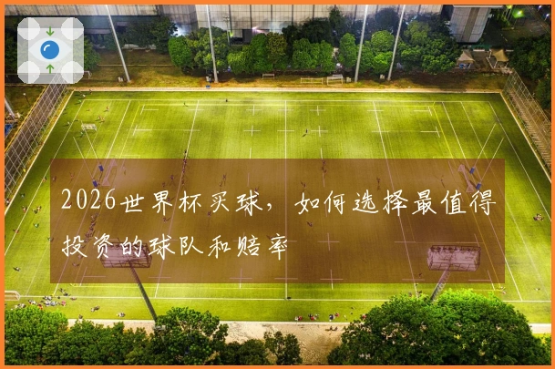 2026世界杯买球，如何选择最值得投资的球队和赔率